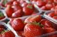 /album/fotogalerij/a42110-aardbeien-jpg1/